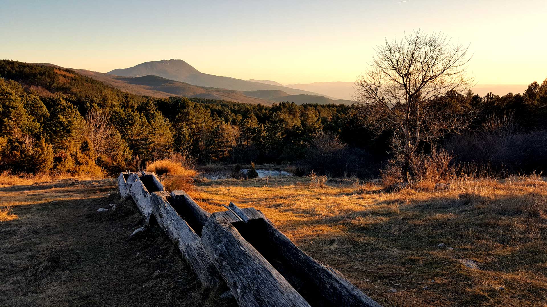 Welcome to PEDALISTRA!