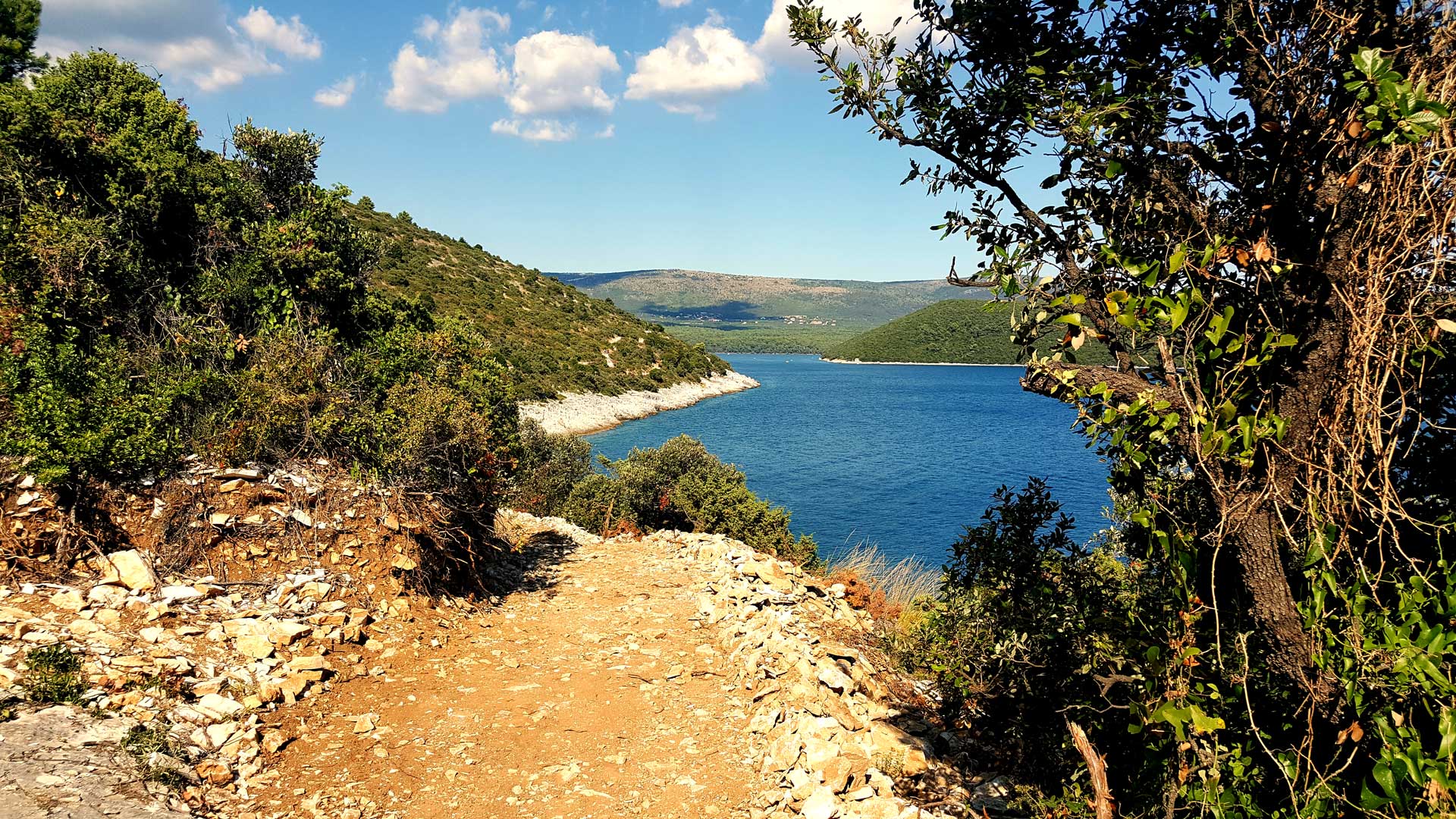 EXPLORE THE MAGICAL ISTRIA WITH PEDALISTRA