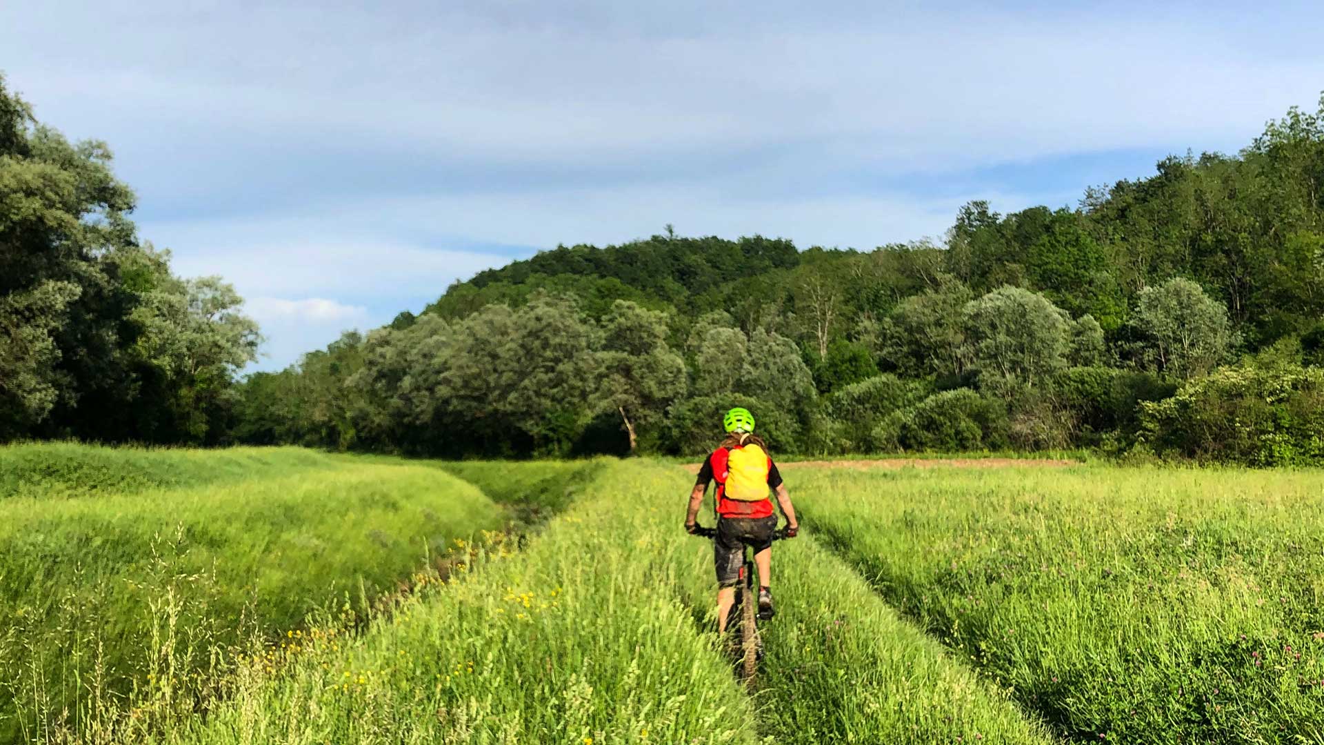 Feel the magical Istria with Us